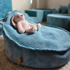 MeowBaby Kindersessel Ästhetik Cord Bär - Classic Cord Edition