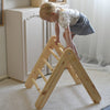 MeowBaby Haus mit faltbarer Kinderleiter 60x61 cm